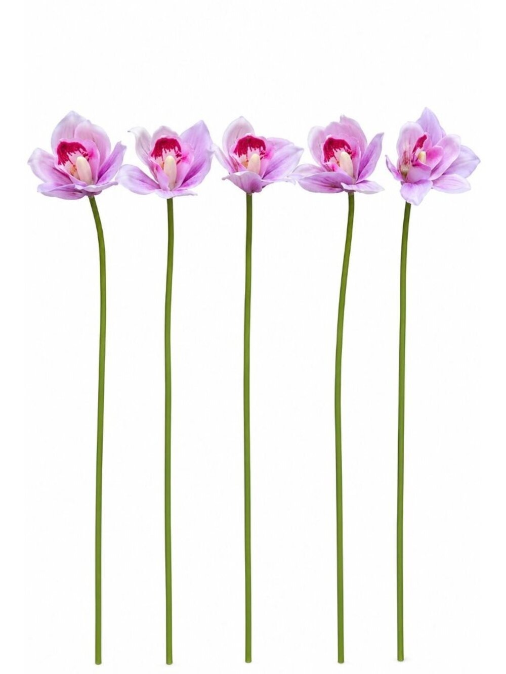 Pink Purple Real Touch Cymbidium Orchids, Set of 5 Artificial Flower Stems, 15 I